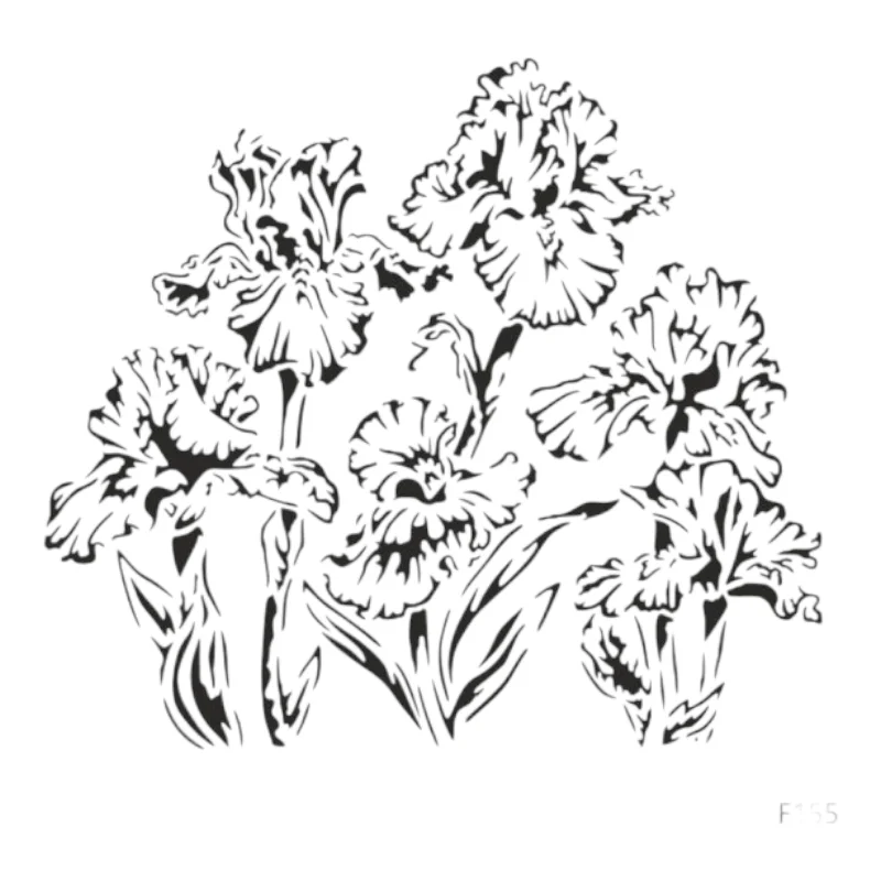 F155-PhotoRoom F155 - Image 1